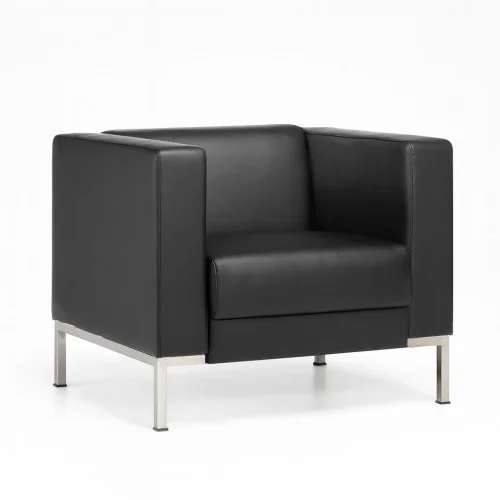 Fauteuil Cuir Plcs